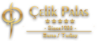 www.hotelcelikpalas.com